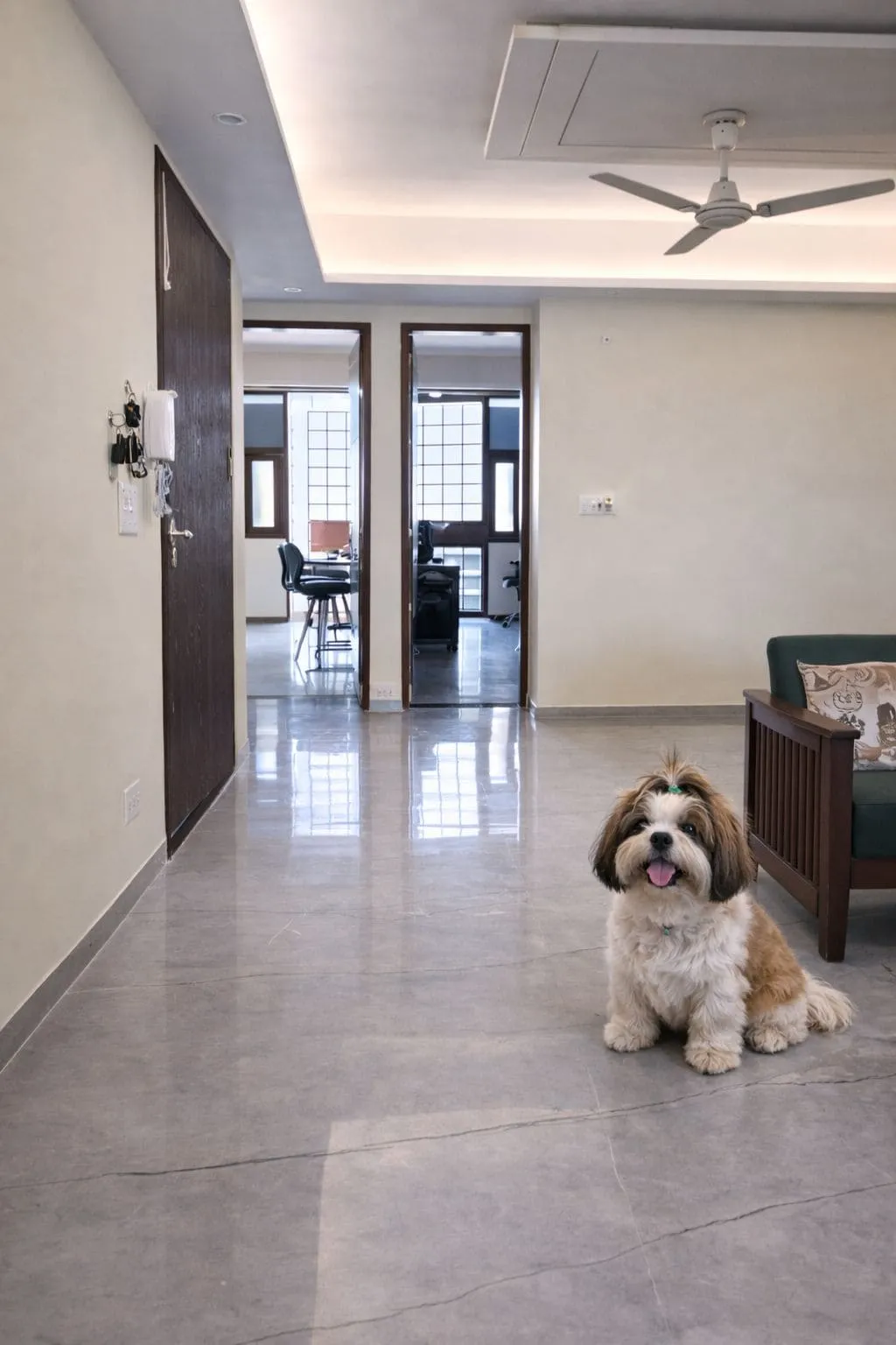 Dog relaxing in the living area at Urban Paw Stay